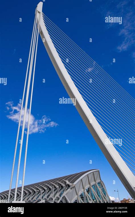 Valencia Science Museum Stock Photo - Alamy