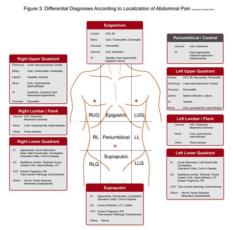 Abdominal Pain Causes By Location And Quadrant Differential Diagnosis | My XXX Hot Girl