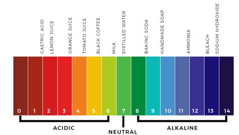 Acids Bases and Salts CBSE Class 7 Science - Chapter 5