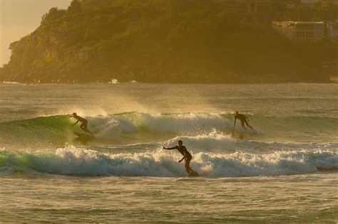 Surfing at sunrise, Manly Beach, Sydney, New South Wales, Australia ...