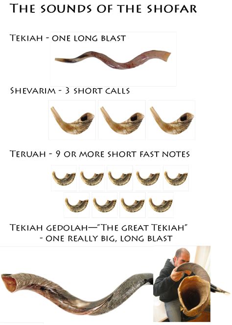 The sounds of the shofar | Shofar, Messianic judaism, Rosh hashanah