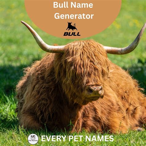 Bull Name Generator: 250+ Name ideas Every Pet Names