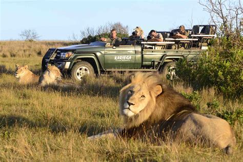 Kariega Game Reserve - We Are Africa