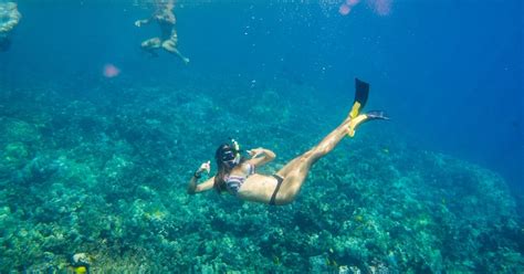 Top 5 Tip To Prepare For Your First Kona Snorkel Tour