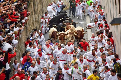 Running of the bulls could help scientists prepare for catastrophe | Science | AAAS