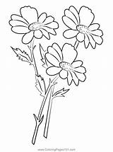 Meadow Flowers Coloring Page For Kids  Free Crocodile Printable sketch template