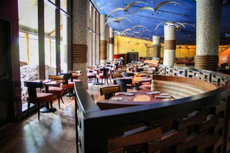 Disney's Animal Kingdom Lodge Restaurants Guide