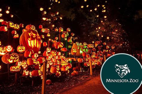 Minnesota Zoo's Jack-o-Lantern Spectacular is Back this Fall