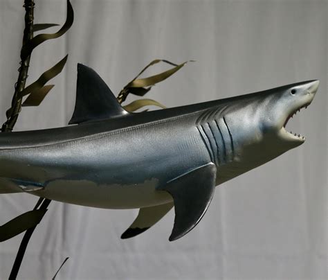 Great White Shark Sculpture - Etsy