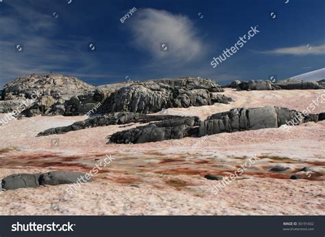 Snow Algae In Antarctica Stock Photo 30191602 : Shutterstock