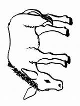 Balaams Donkey Colouring Pages Page 2 Sketch Coloring sketch template
