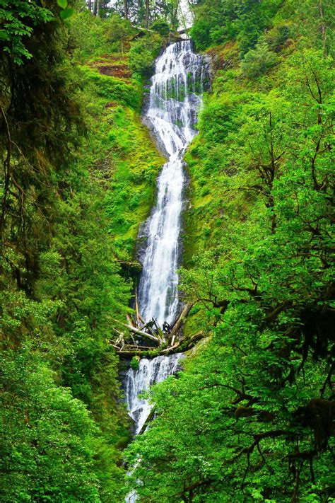 8 Stunning Waterfall Hikes Throughout Oregon | Oregon waterfalls, Waterfall hikes, Oregon state ...