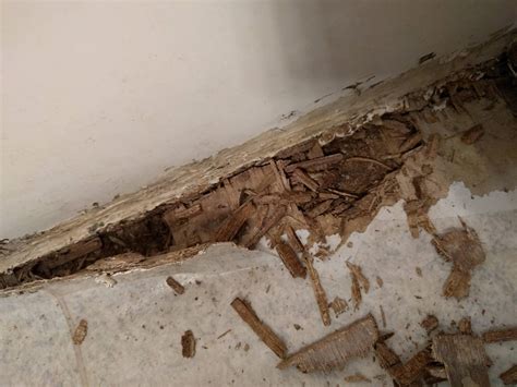 bathroom - How to repair void in edge of subfloor from rot? - Home Improvement Stack Exchange