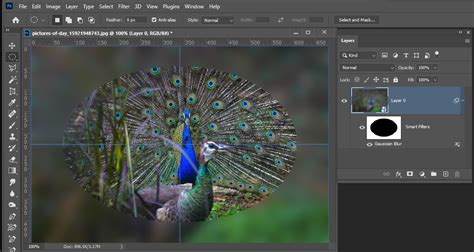 Solved: How to apply gaussian blur on the entire image exc... - Adobe Community - 12138199