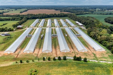 All about poultry farms, with Ashley McCraney - National Land Realty News