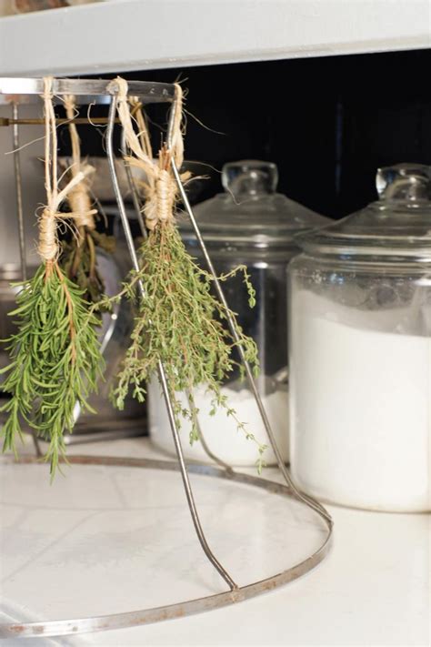 Make an Herb Drying Rack | Herb drying racks, Drying herbs, Herb diy