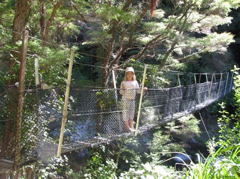 A walk up to Wainui falls, Golden Bay - Mapua Chalets