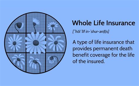 Whole Life Insurance Or Term Life Insurance: Which Is Right For You?