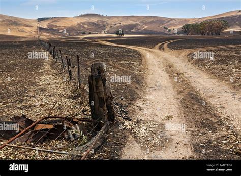 Lexton Australia / Aftermath of bushfires in Lexton Victoria Australia ...