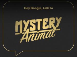 Mystery Animal Guessing Game - Fun with Research! - Lessons by Sandy