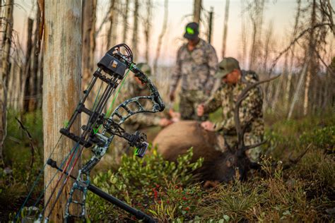 How to Properly Care for Wild Game Meat in the Field | Outdoor Life