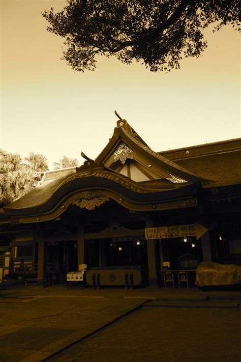 a building with a tree in front of it and a sky line above the roof