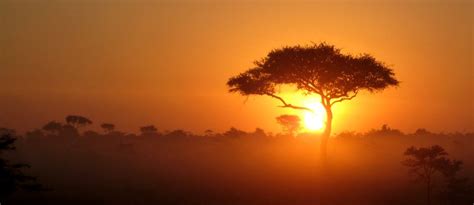 Travellers' Guide To Masai Mara - Wiki Travel Guide - Travellerspoint