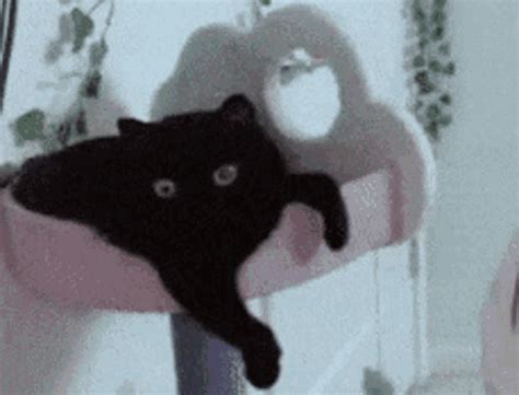 Black Cat Stretching GIF - Black Cat Stretching Morning - Discover & Share GIFs