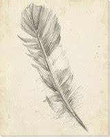 Feather Sketch I Wrapped Canvas Giclee Print Wall Art - Wall Decor - Artwork
