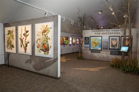 Year of the Bird exhibit opens at Wonders of Wildlife National Museum and Aquarium - Bass Pro