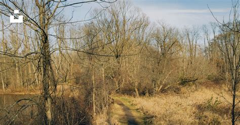 A dirt path in the middle of a wooded area photo – Free Michigan Image on Unsplash