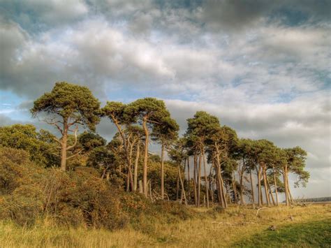 Tyninghame, East Lothian, Scotland | View On Black | Longyester | Flickr