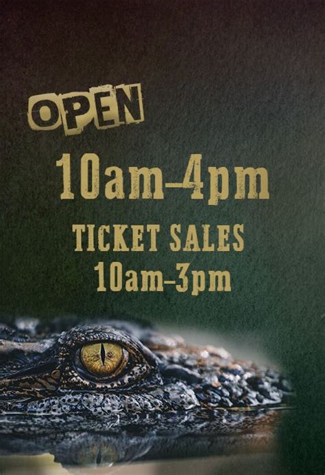 Alligator Adventure | Come Face to Face With Nature's Fiercest Animals