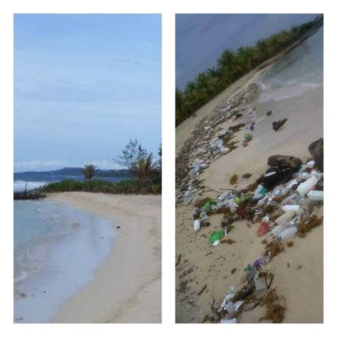 Lets keep Roatan Beaches & Ocean clean plus beautiful. Not a garbage ...