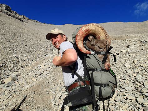 Mark’s Trophy Bighorn Sheep Hunt in Alberta, Canada the fall in 2014