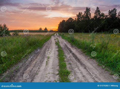 Sandy road near forest stock photo. Image of dirt, field - 51375282