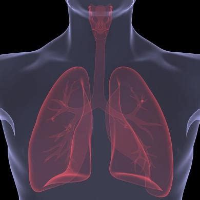 Pulmonary emphysema: Symptoms, Causes and Treatment – From Doctor