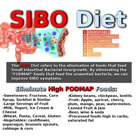 SIBO Herbal Treatment