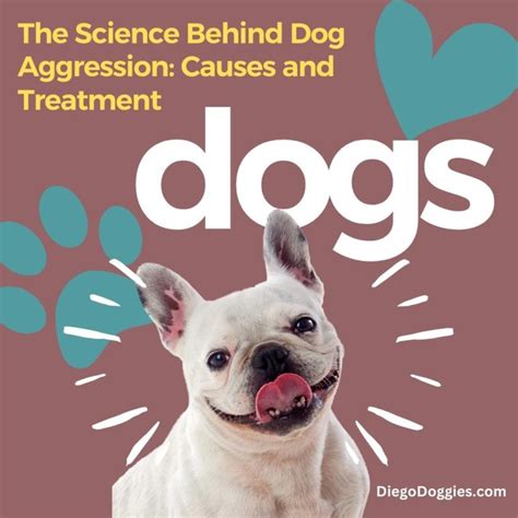 The Science Behind Dog Aggression: Causes and Treatment