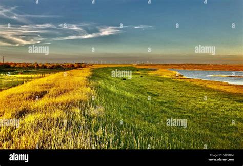 View on Rye Harbour Nature Reserve Stock Photo - Alamy