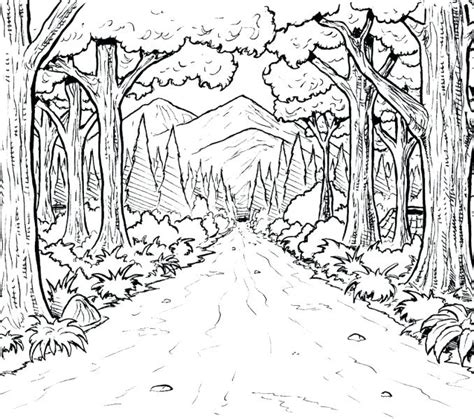 Forest Habitat Coloring Pages at GetDrawings | Free download