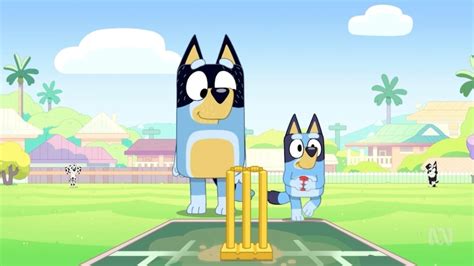 Bluey's 'Cricket' episode has families question official backyard rules ...