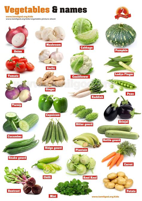 Vegetables fruits names for kids - Pakistan Montisurri Schools | Facebook