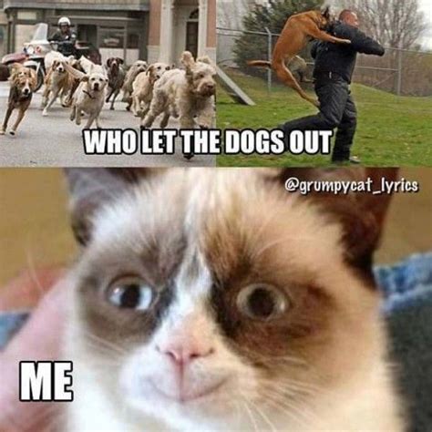 Grumpy Cat Quotes Funny - ShortQuotes.cc