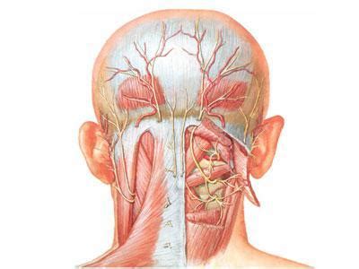 6 Steps to Managing Tension Headaches & Neck Pain | Ergotherapy