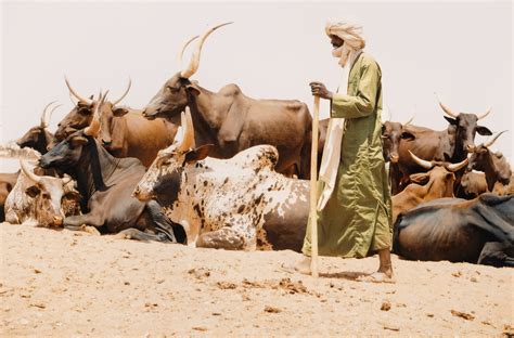 The Tuareg the Nomadic inhabitants of North Africa