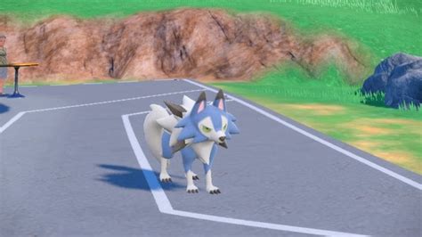 Best moveset for lycanroc midday form? : r/PokemonScarletViolet