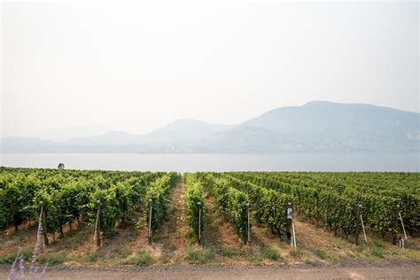 TRAVEL SERIES || Summer Day Trip Touring Penticton Wineries — Pendulum ...