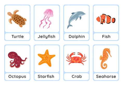 Premium Vector | Ocean animals flashcard collection for children ...