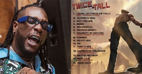 Burna Boy’s 'Twice As Tall' Hits No 1 In 14 Countries In Less Than ...